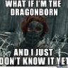 The Dragonborn